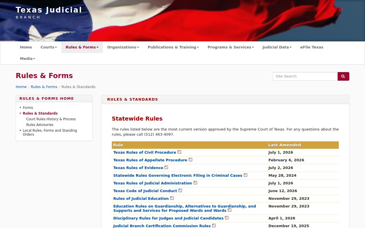 Texas court rules and standards governing Rochester municipal and criminal case access